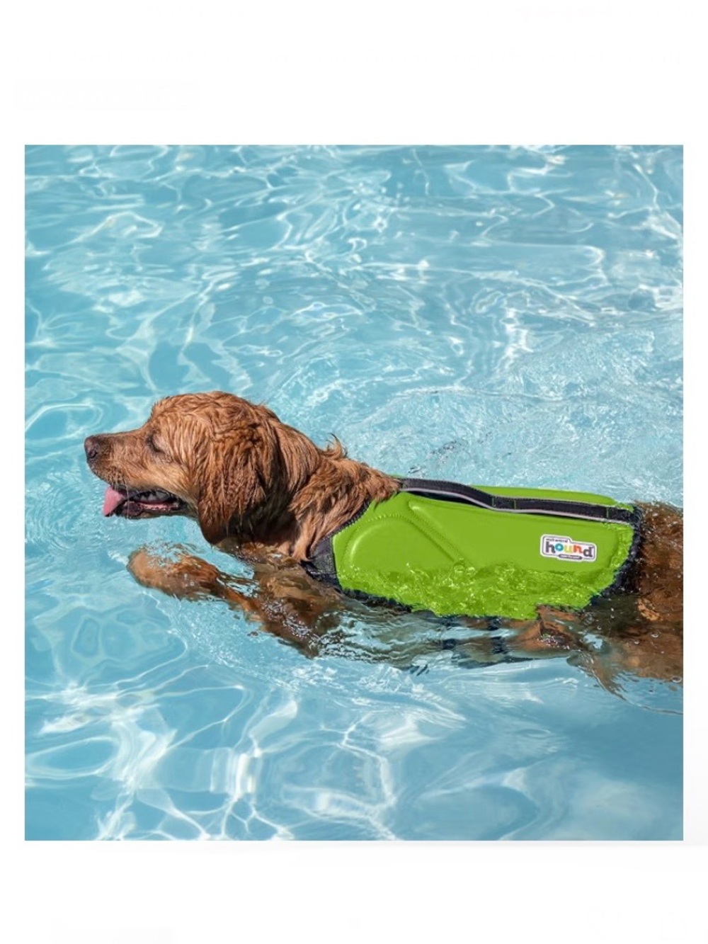 Outward Hound Dawson Swim Dog Life Jacket, Green Size Small  15-30 pounds